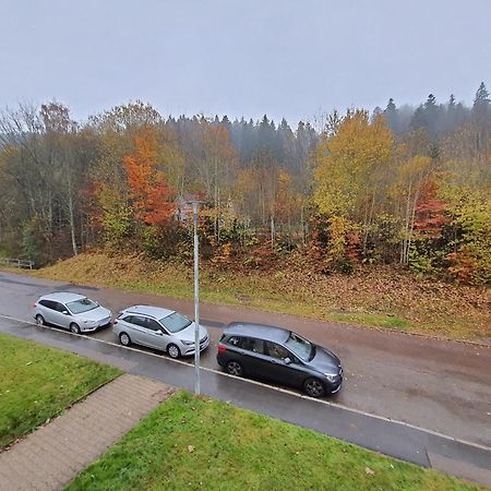2 Rooms Apartment In Triberg Triberg im Schwarzwald Екстериор снимка