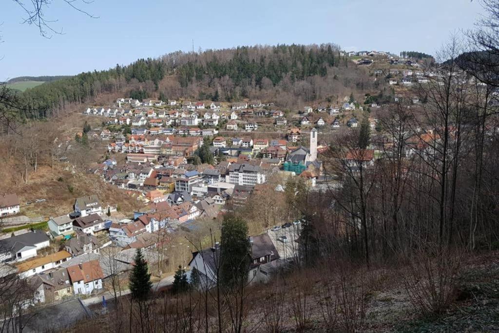 2 Rooms Apartment In Triberg Triberg im Schwarzwald Екстериор снимка