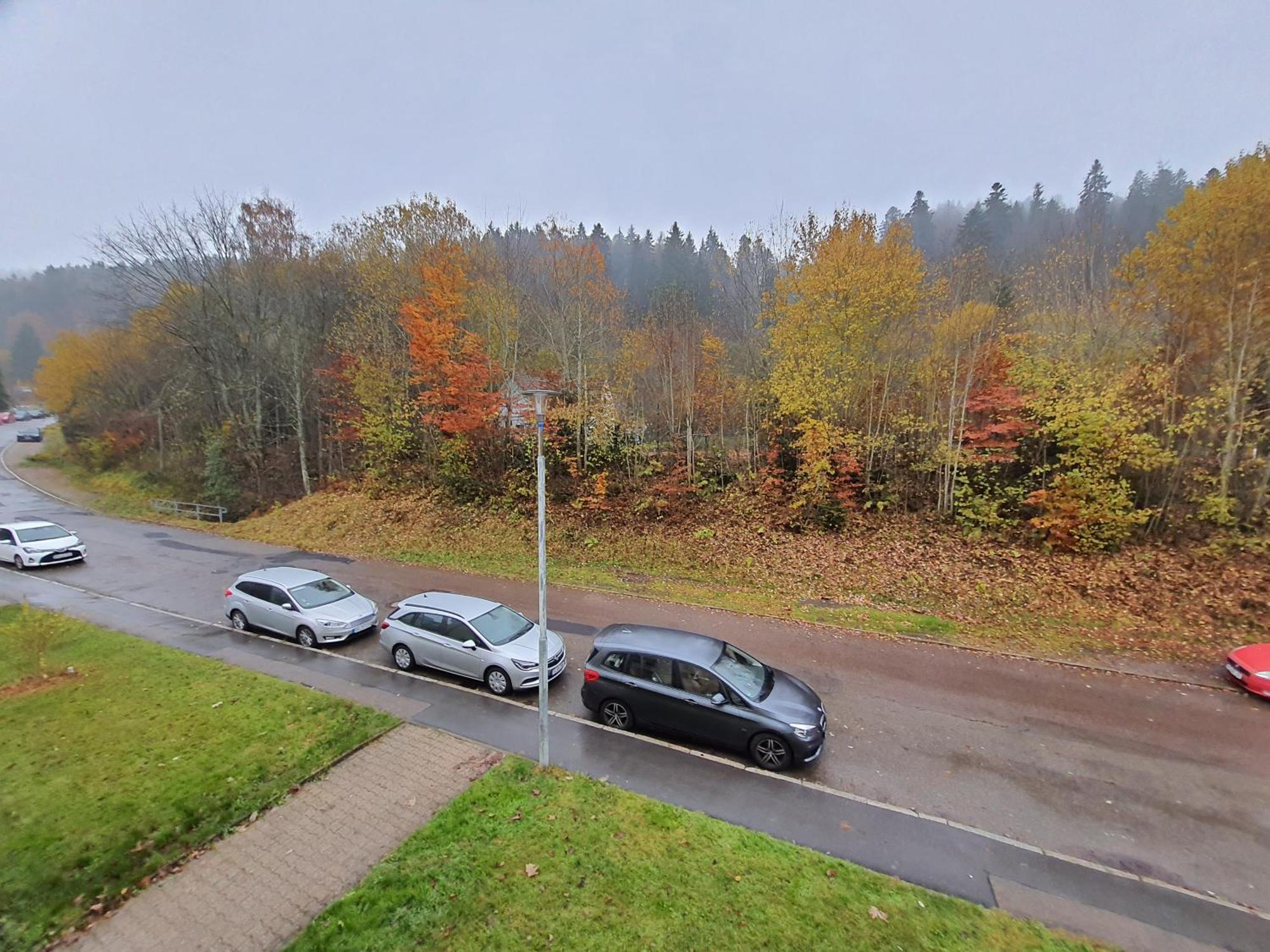 2 Rooms Apartment In Triberg Triberg im Schwarzwald Екстериор снимка