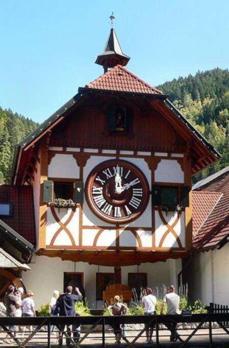 2 Rooms Apartment In Triberg Triberg im Schwarzwald Екстериор снимка