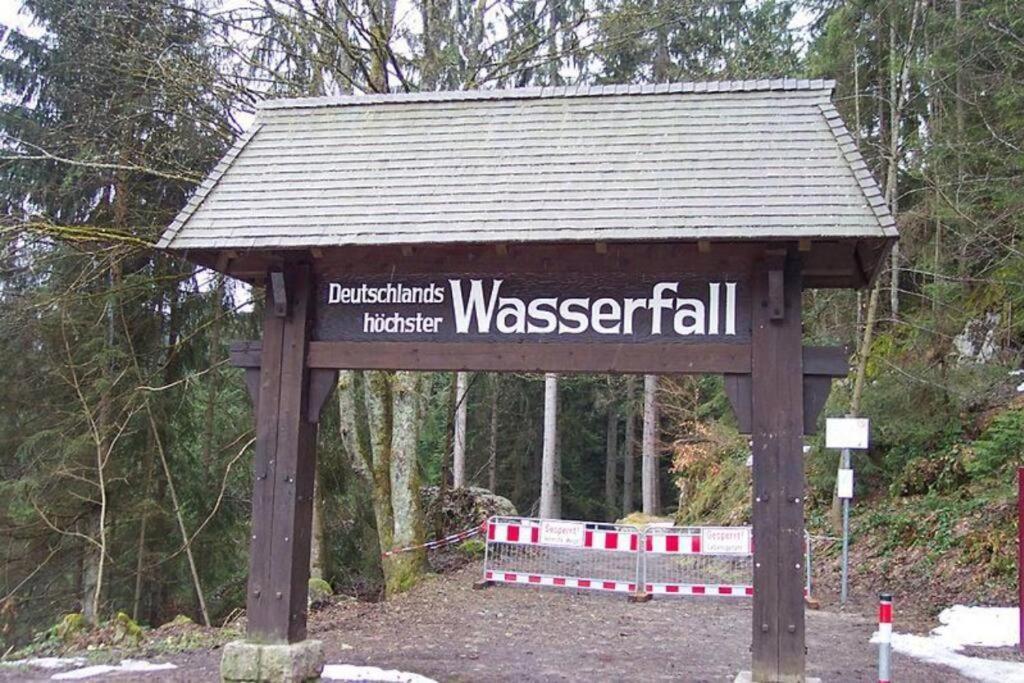 2 Rooms Apartment In Triberg Triberg im Schwarzwald Екстериор снимка